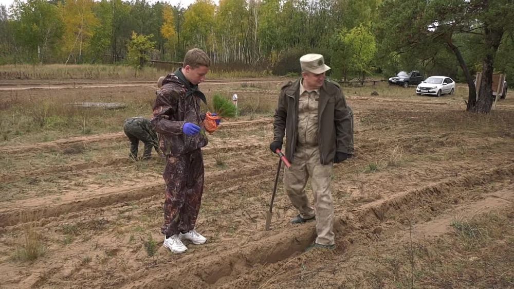 ������� ��������� �������� � ������������� ������������ ��������� � ��������� �� ��������-���������� ��������������� ��������� � ��������� ��������� ����������� "��������" ������� ������� � ������� �������� ����� ������������