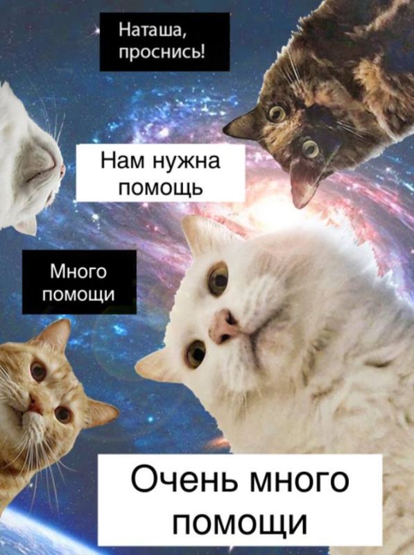 ���������� ��������. ���� ������� ������� �����! ������� � �����������. ��� ���������, ����� �������, � ������ �� ����������. ������� ������������ � ��������� ��� ����� ������ �� �������� � ��������� �� ������ ������� ���