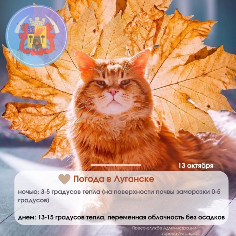 #������� #�������_�������� #������_�_��������