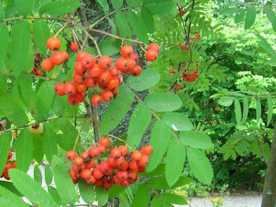 ��������� ��������� ������� 20 �� ������ ��� ������