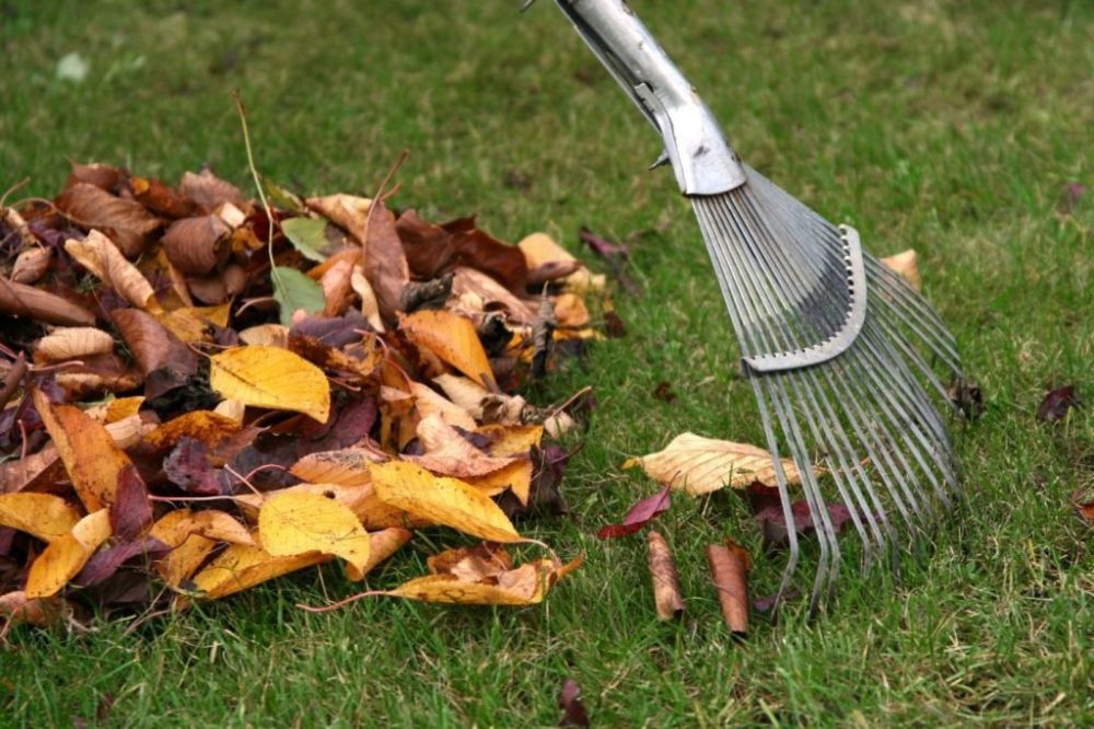 ���������� ������������ ������� ��� ������� ������� � ������������� ����������