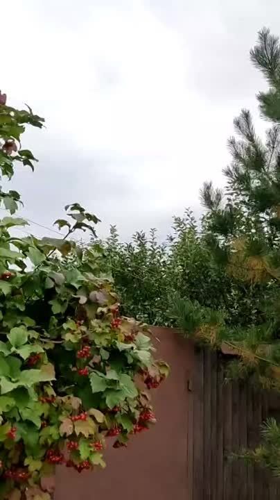 ��������� ������� ��� ������ ��� ��������� �������� ����������� ���������� ���������