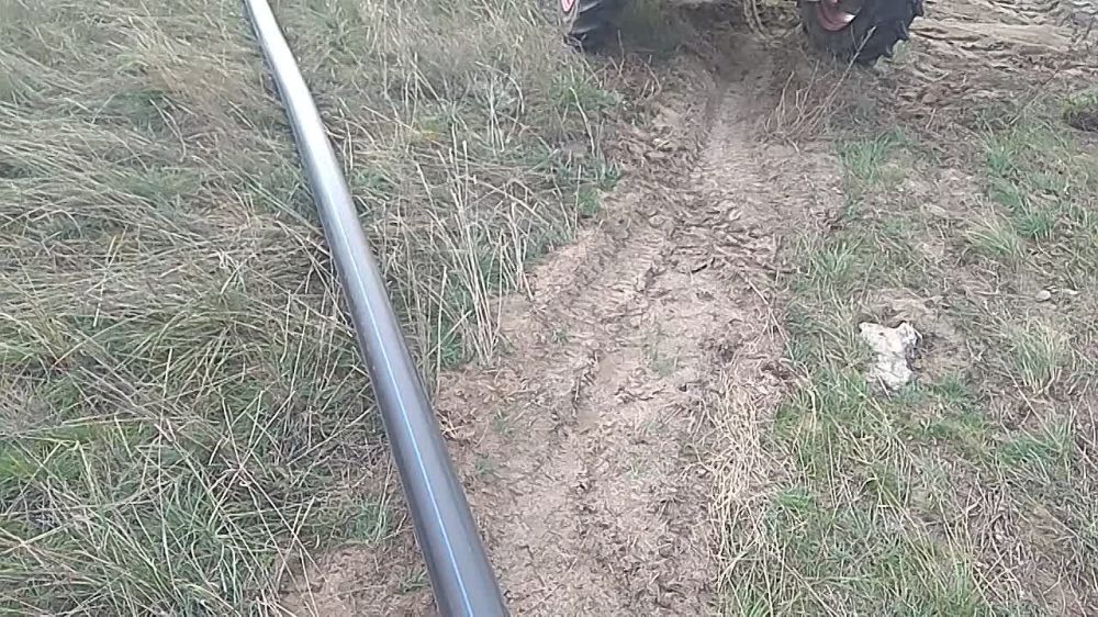 ����������� ����������� ������� ������ ���������� ����������� ��������� ������ �� ������ ����������� ����������� � ���� ������ ��������-���������� ������