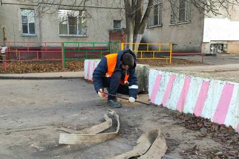 "������������" ����� 10 ������������������� ����������� � ���� ������� ��������