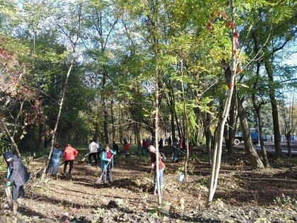 ������ �������� � ���� �������������� ���������� ������������� ����� 500 ��������