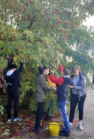 ��������� � ������� �� �������� ������������� � ��������������� �����