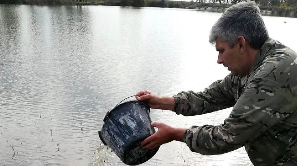 ����� 35 ����� ������� ����� � ���������� ��������� � ������� ���