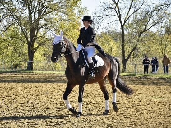 � �������� ������ ��������� ������� ������: ����