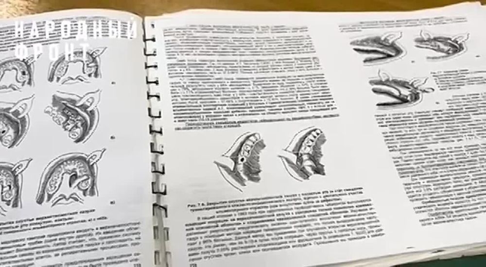 ������� ���� �������� ������������ ������������� ��������� ��� � ��� ���������� � ������ �����, ������� ������ ������� � �������� ������� �����������