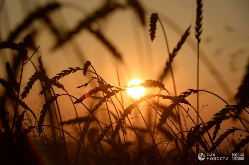 ������ �� ����� ����������� ������