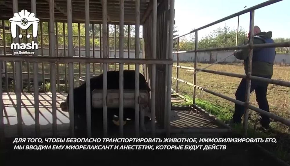 � ��� � ��������� ������������ �������