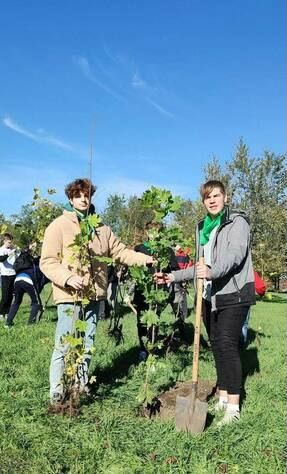 �������� ���������� ���������������� ������������ � �������� ����� � 38 � ������ ������������� ����� "�������� ���" �������� �� ���������� ���� 50 �������� ����� � �����-������ ������������ ��������� �������� � ������������� ������������ ���