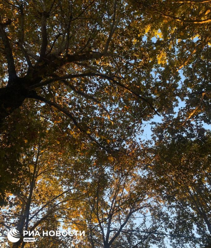 ������ �� ����� ����������� ������