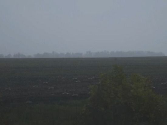 ���������� ������ ������� ����� ������� �� ������� ����������������