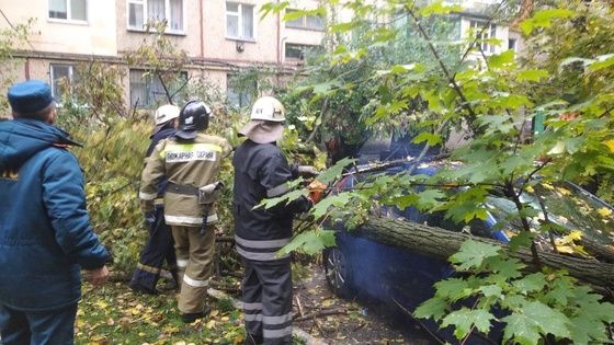 ��������� ������ ������, ������� �� �������� ���������� � �������� - ���