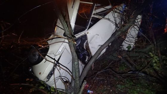 ���� ������� ����� � ���� ������ ����������� � ���������� ��� � ������ - ���