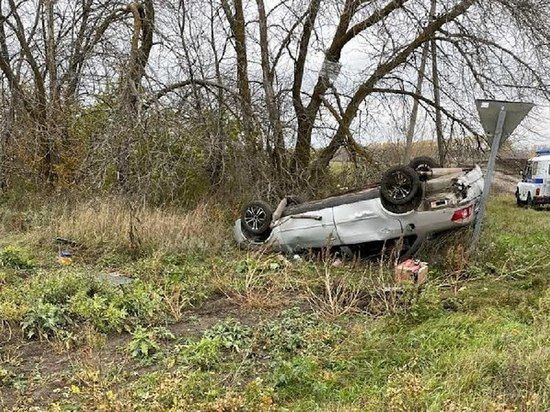 ��� ��������� ���������������� ������� �� �������� � ����������� �������������� ����������: ���� ������������