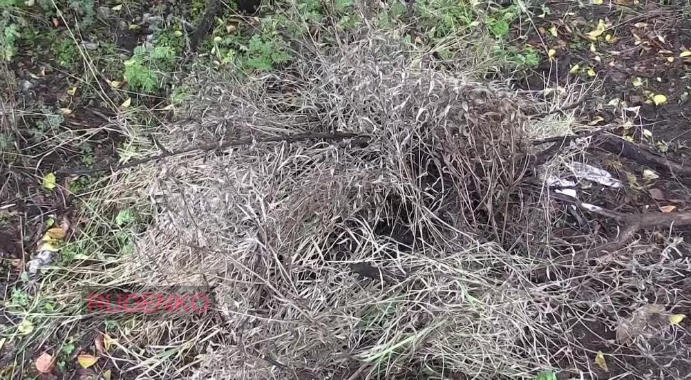 ���������� ���������� ������� ����� ���������� �������� � ������� � ������������ ������������ ������������