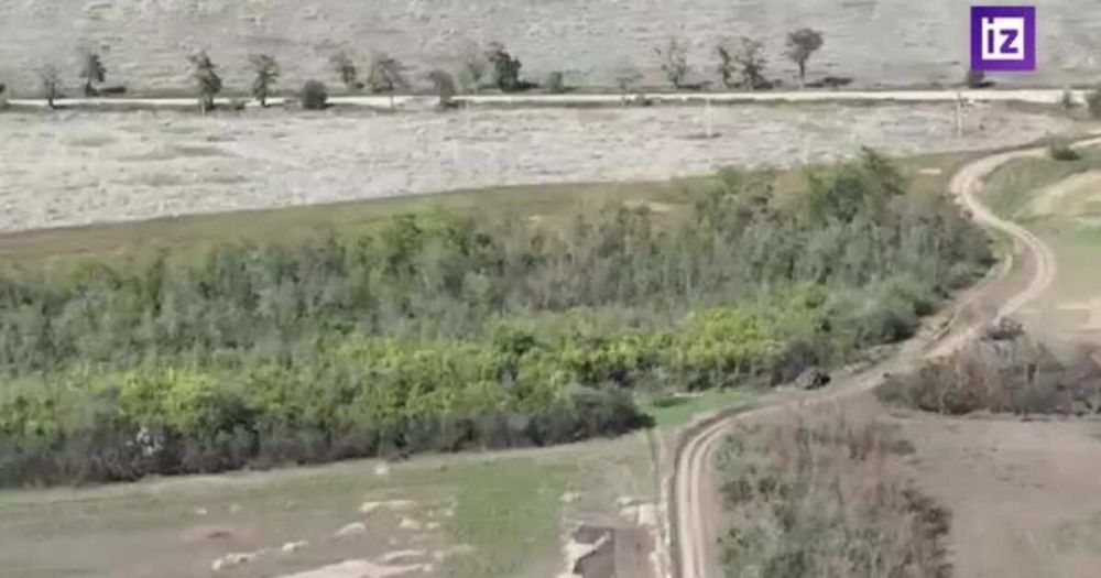 ���������� ���������� ������� ������������ ���