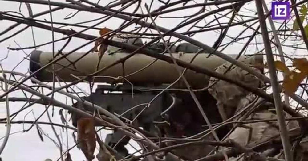 ���������� �������� ����� ������ ����������� � ���� ������������