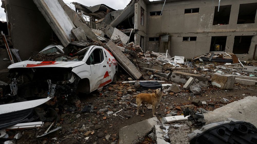 �� ������ ��������� �������������� ������� �� ����� ����������� ������ � 223 ���� ������