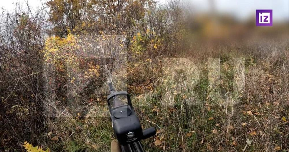 ����� ������ ��������� ������� � ��������� �� ����������� ������