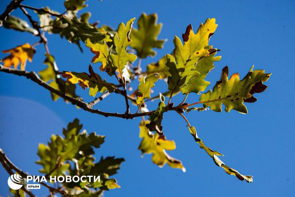 ������ �� ����� ����������� ������