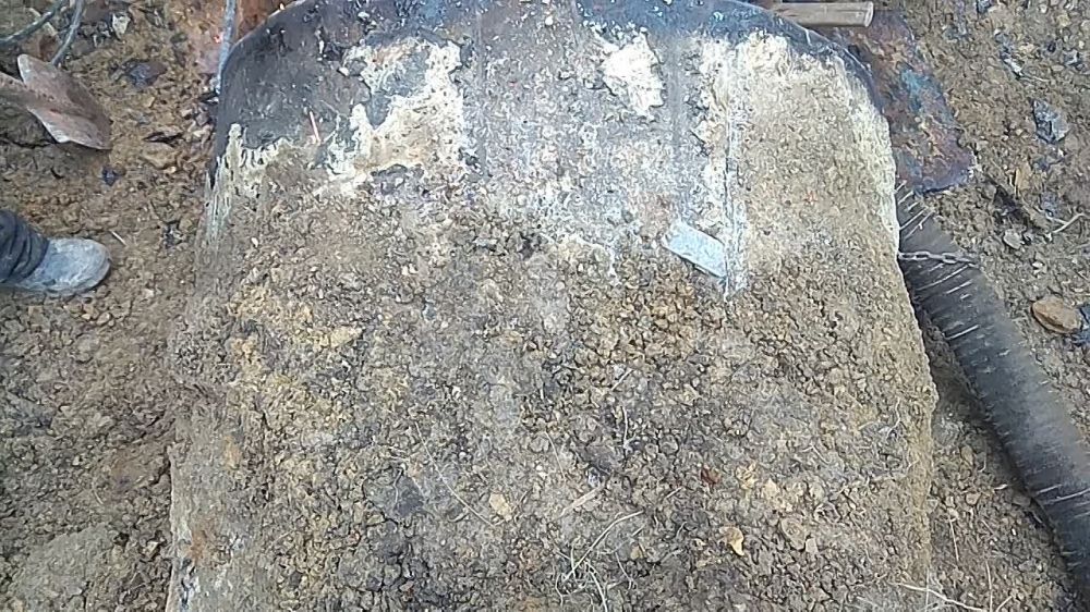 "�����������" ����� �������� ������ �� ������ ���������� ������� �������������� �������� ��������-����������, �������� � �����-������ ��� ��� "�����������"