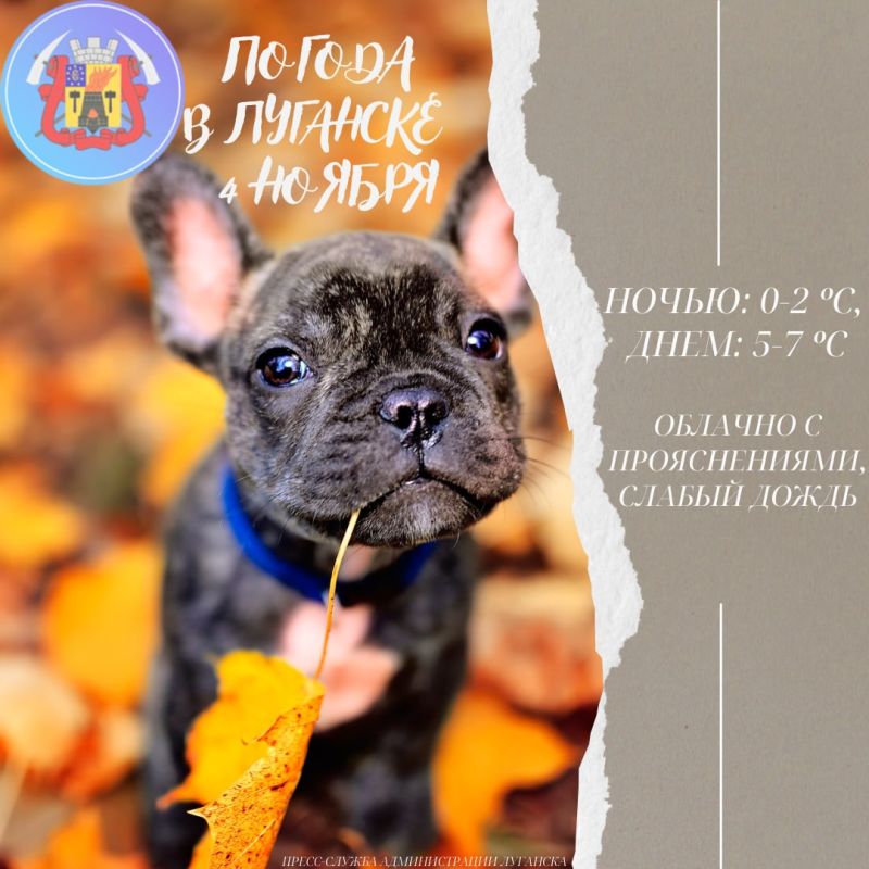 #������� #�������_�������� #������_�_��������