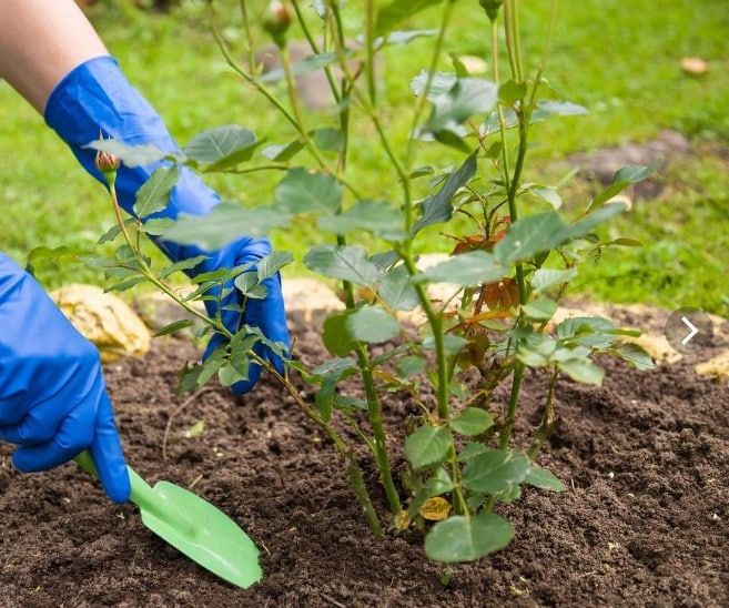 �������� ���������� ������� �������������