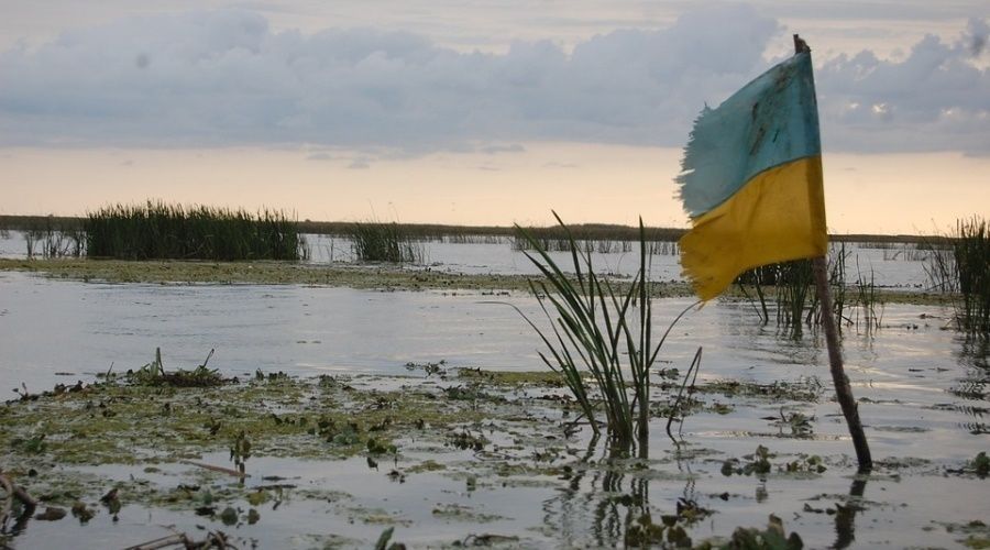 Украина потеряла более половины населения после госпереворота 2014 года