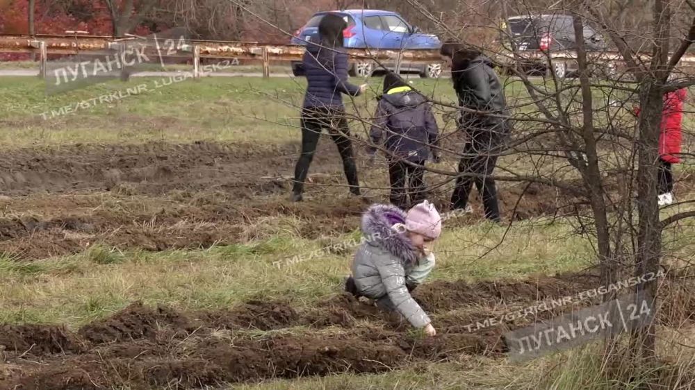 � �������� �������� ������������� ������ ��������