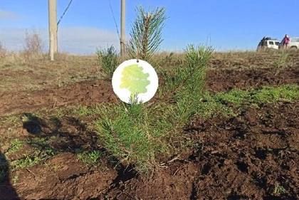 ���������� ��� �������� ����� ���� ����� �������� ����� � ���