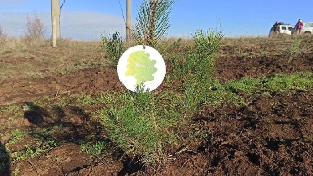 ���������� ��� �������� ����� ���� ����� �������� ����� � ���