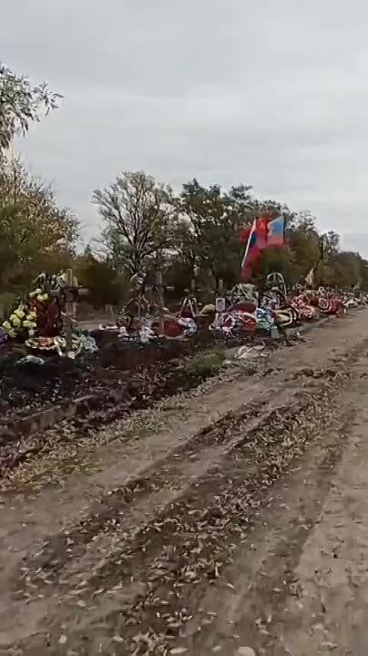 ����: �������� �������� ����������� � ���������� �������� �������� ���������� ������ �� �� �� �������, �� �� � ������