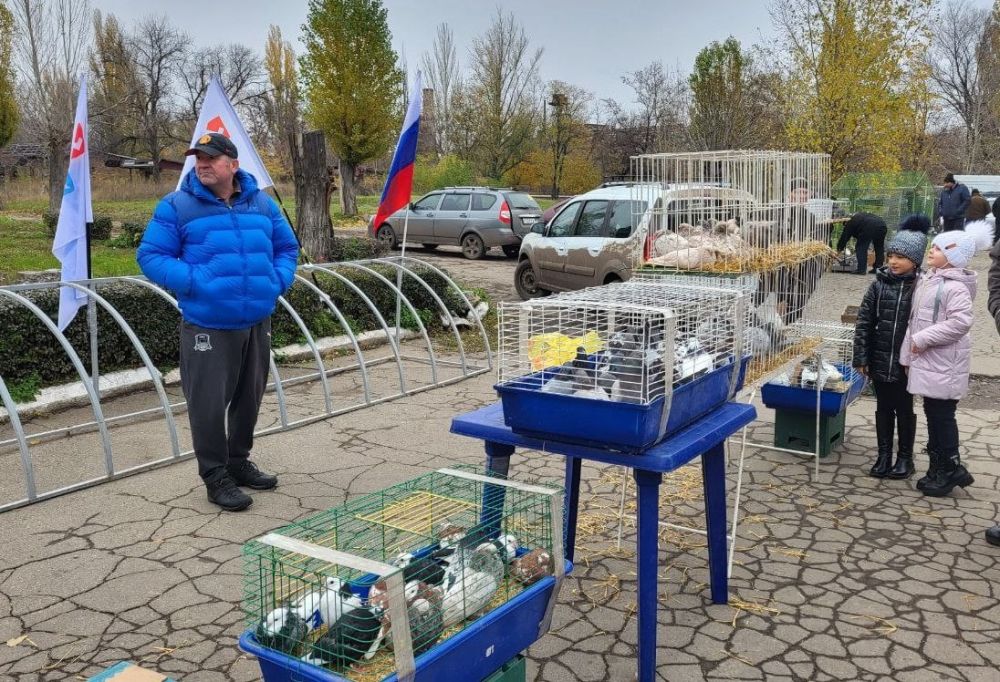 � ������� ���� ������ ��������-������� �������, ������ � ������������ ���� ���� ����� ������