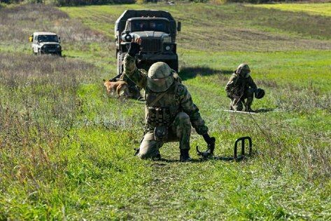 Саперы Росгвардии за неделю обезвредили в ЛНР около 1,3 тыс. боеприпасов