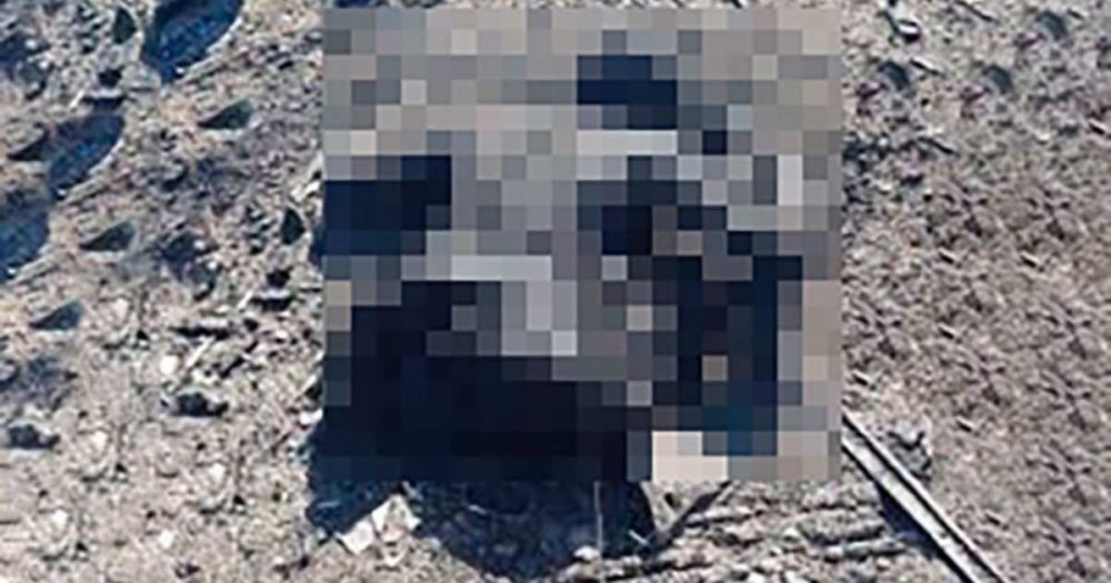 � ��������� ��������� ��� ������� ����� ��� ������� ��������