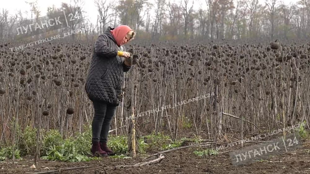 ������� ��� ��������� ���� ������ ��������� �������