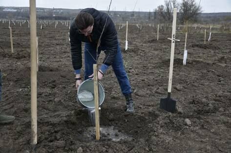 ����������� �� ��������� �������� ������ 10 �� ���������� ���� � ������� ��������� � ��������