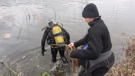 �������� ��� ��� ����������� ������ �� �������� �������������