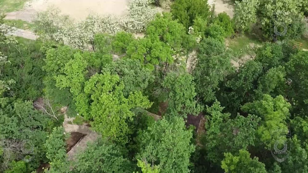 � �������� ������ ����� ���� �����������-��������� ������ �������� ��� ���