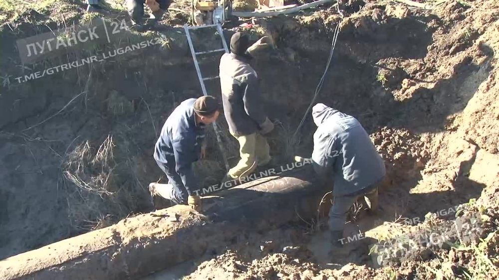 ��� ������� ������������ � 10 ������ ����������� �������� �������� ��������-����������������� ������ �� ������������� ���������