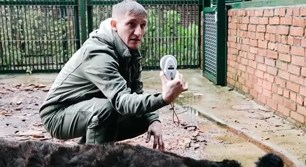 ������ ������ ����� ���������� ������� ��� ���������� ���������� ��������������� ��������� ������ ������ ������ ������� �� ������ ���� �� ��� � ��������� ��� � ������ ��������������� ������ ����� ��������