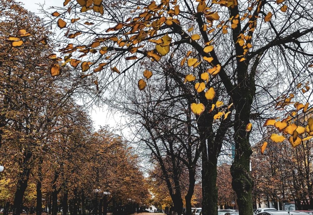 ��������� ������������ �� 5 �������� ����� ������ � ��������