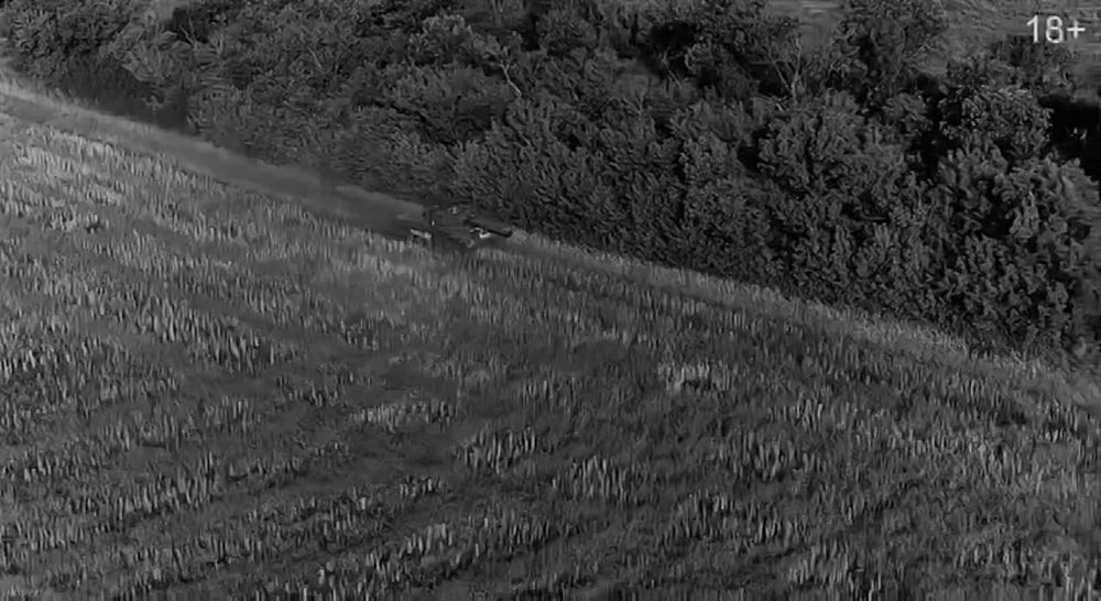 ����������� �������. ��������� LIVE #�����_�����_������ ������� �������� ����, ����������� ���������� ����� ����������...