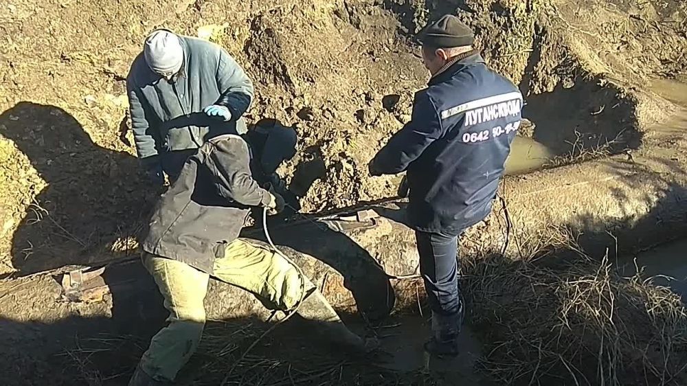 ����������� ����������� ��������� �������� ����� ��� �������� ��������� ���������������� ��������, �������� � �����-������ ��� ��� "�����������"