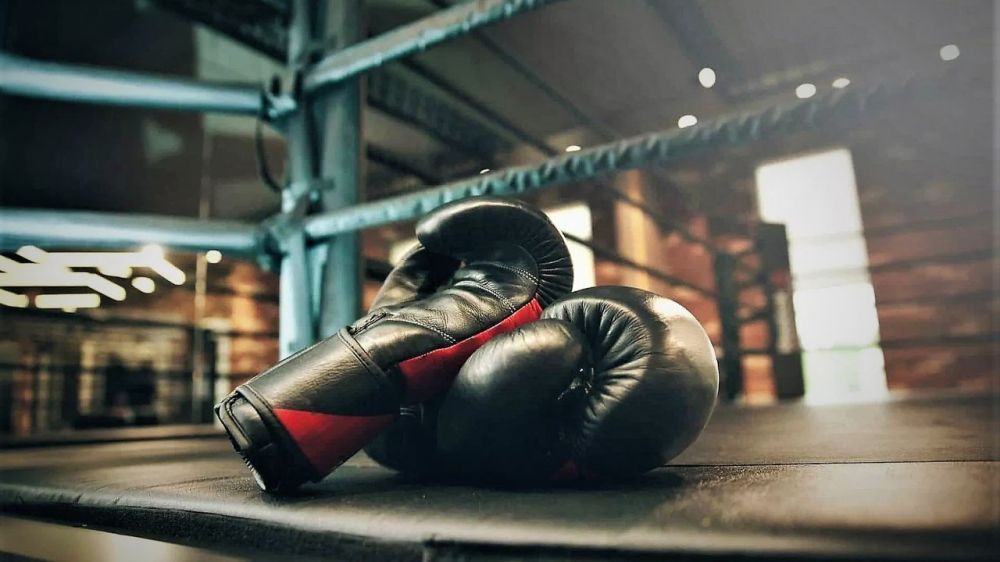 � �������� ��������� XXIV ������������ ������-��������� ������ �� �����