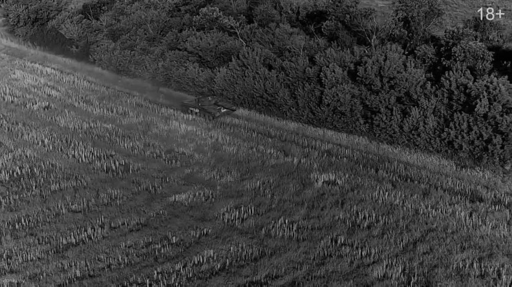 ������ ������� �������� ����� � ���� ���������� ��������