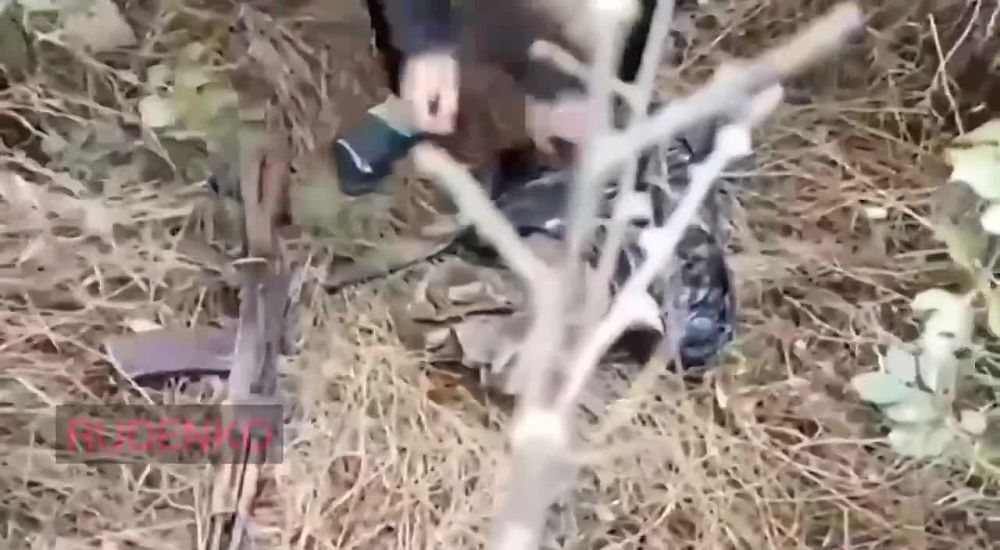 � ��� ������������� ���������� ���������� ���� ������������������ ���